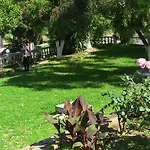 Danai Agios Georgios Pagon